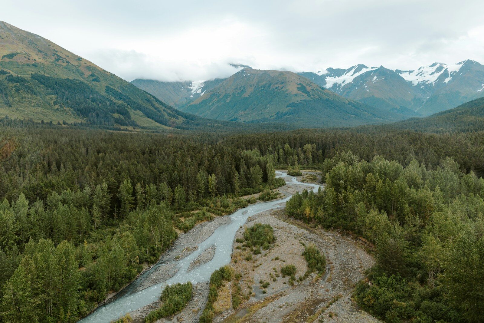 River flowing through a dense forest towards mountains.
